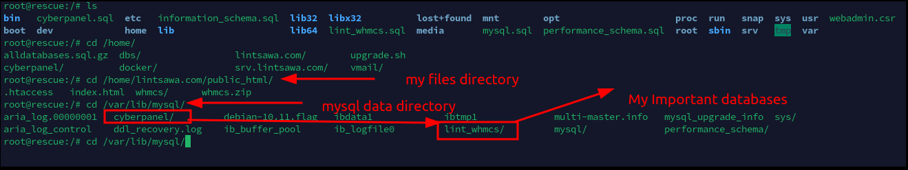 How to Activate and use rescue mode on a VPS