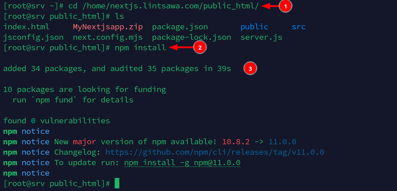 How to deploy Nextjs on Cyberpanel.