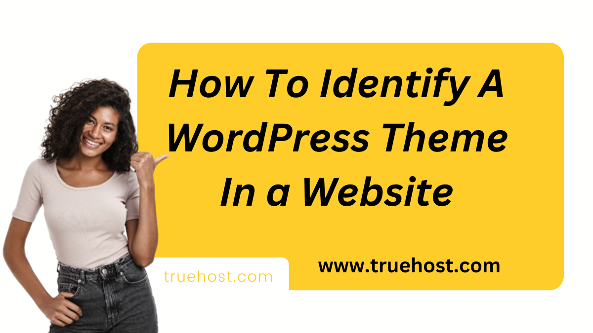 How To Identify A WordPress Theme In a Website