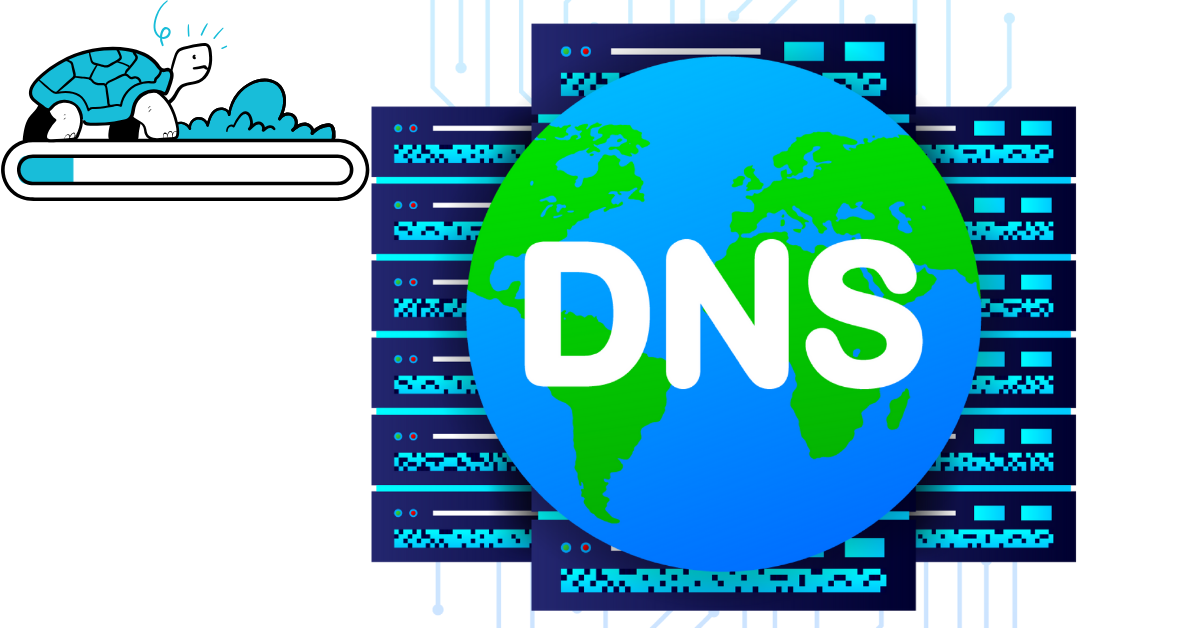 A DNS image alongside a tortoise on a slow loading bar